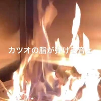 画像473