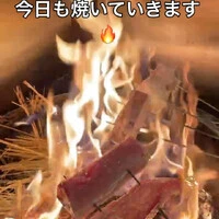 画像541