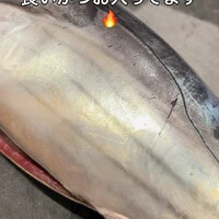 画像659